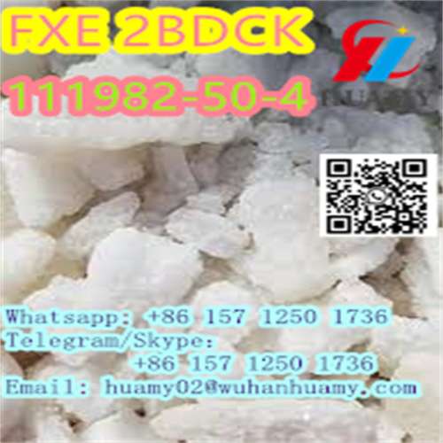 top sales 2fdck fxe 111982504 with factory directly supply 