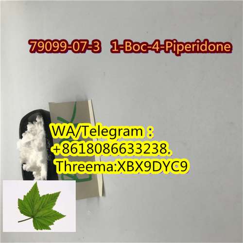 sell  79099-07-3   1-Boc-4-Piperidone