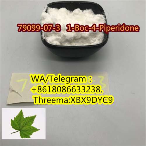 sell  79099-07-3   1-Boc-4-Piperidone