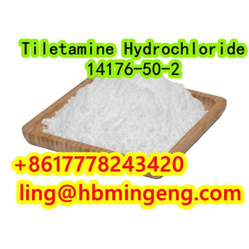 CAS 14176 Tiletamine Hydrochloride Hot Selling Good Quality Made in China