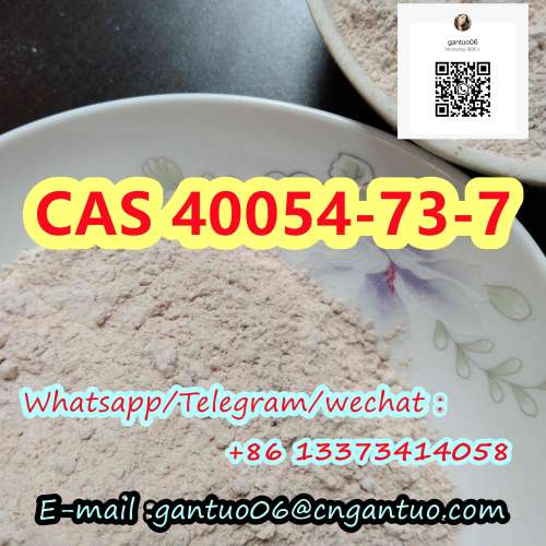 Deschloroetizolam CAS 40054