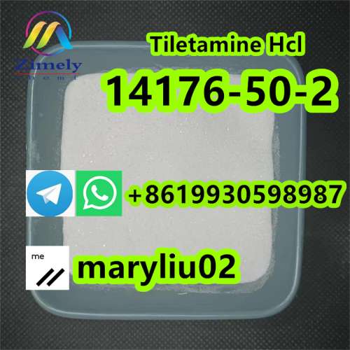 Tiletamine HCL cas14176502 with top purity 99