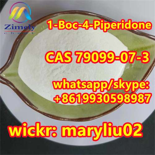 Top purity 79099073  1Boc4Piperidone with in stock