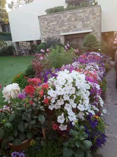Zamish Garden Services