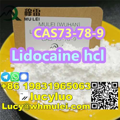 China Supplier 99 Lidocaine HCl Pain Relief Powder 73789 in Stock Now