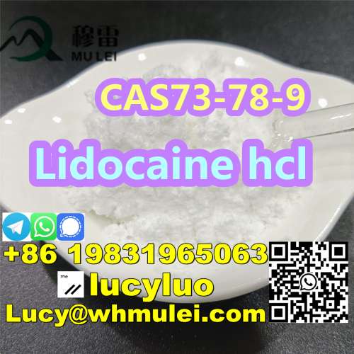 China Supplier 99 Lidocaine HCl Pain Relief Powder 73789 in Stock Now