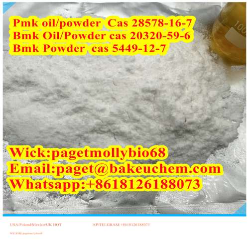 PMK Powder, PMK methyl glycidate ,pmk oil with 99 high Purity