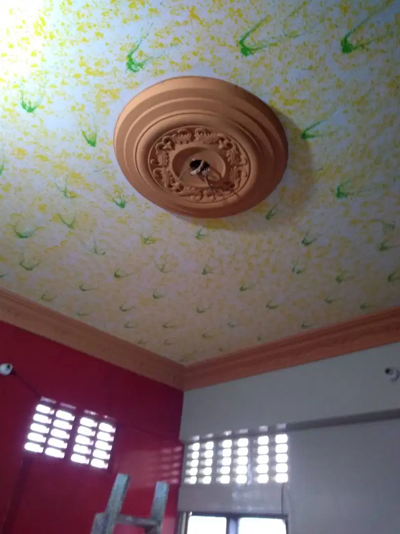 Roommates Need Only for girl