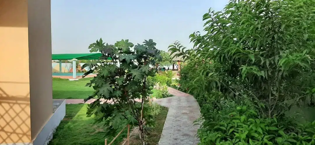 Farm house in Karachi