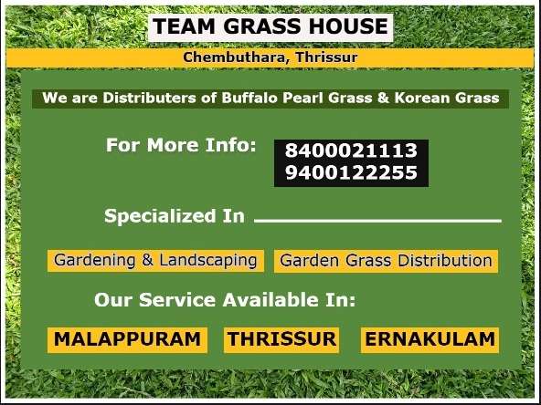 Best Garden Setting Works in Chalakudy Guruvayur Irinjalakuda Chavakkad Mannuthy