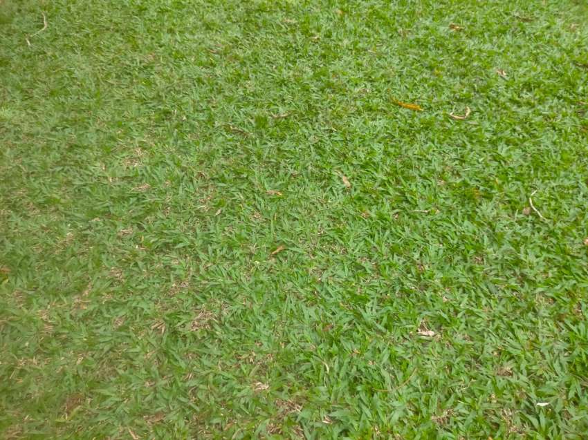 Best Garden Setting Works in Chalakudy Guruvayur Irinjalakuda Chavakkad Mannuthy