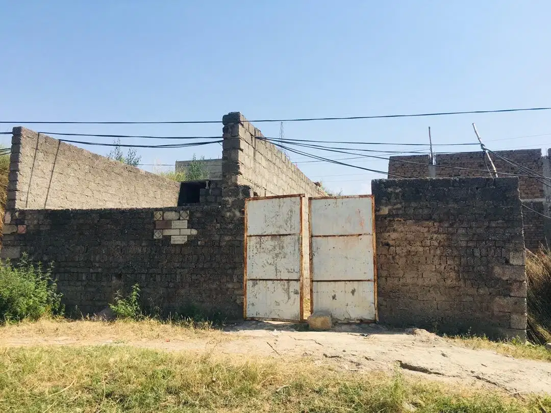 گائے، بھینس، بکریوں کے لیئے ڈیرہ کرائے پر