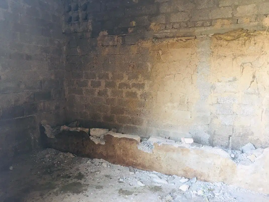گائے، بھینس، بکریوں کے لیئے ڈیرہ کرائے پر