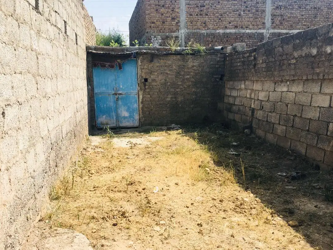 گائے، بھینس، بکریوں کے لیئے ڈیرہ کرائے پر