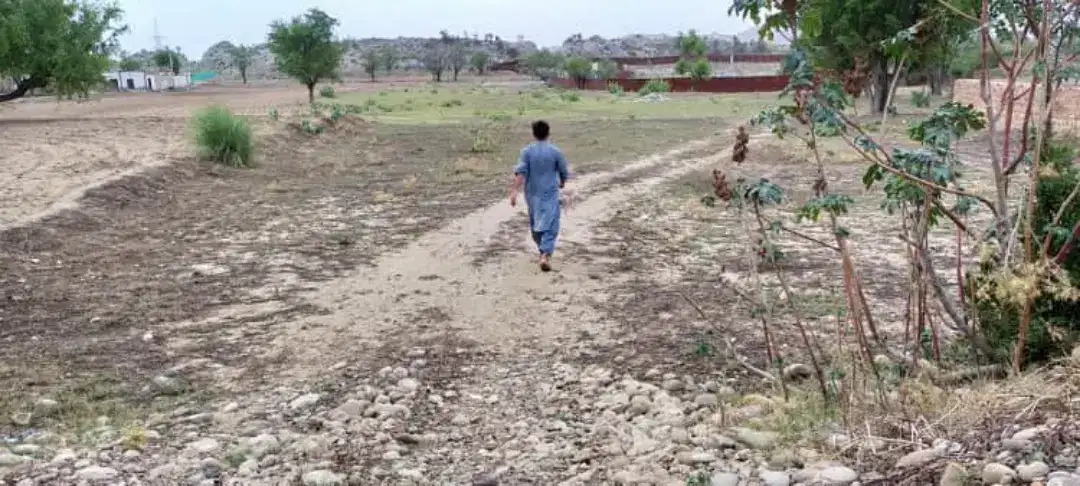 2 kanal plot near to borhe raod shakardara