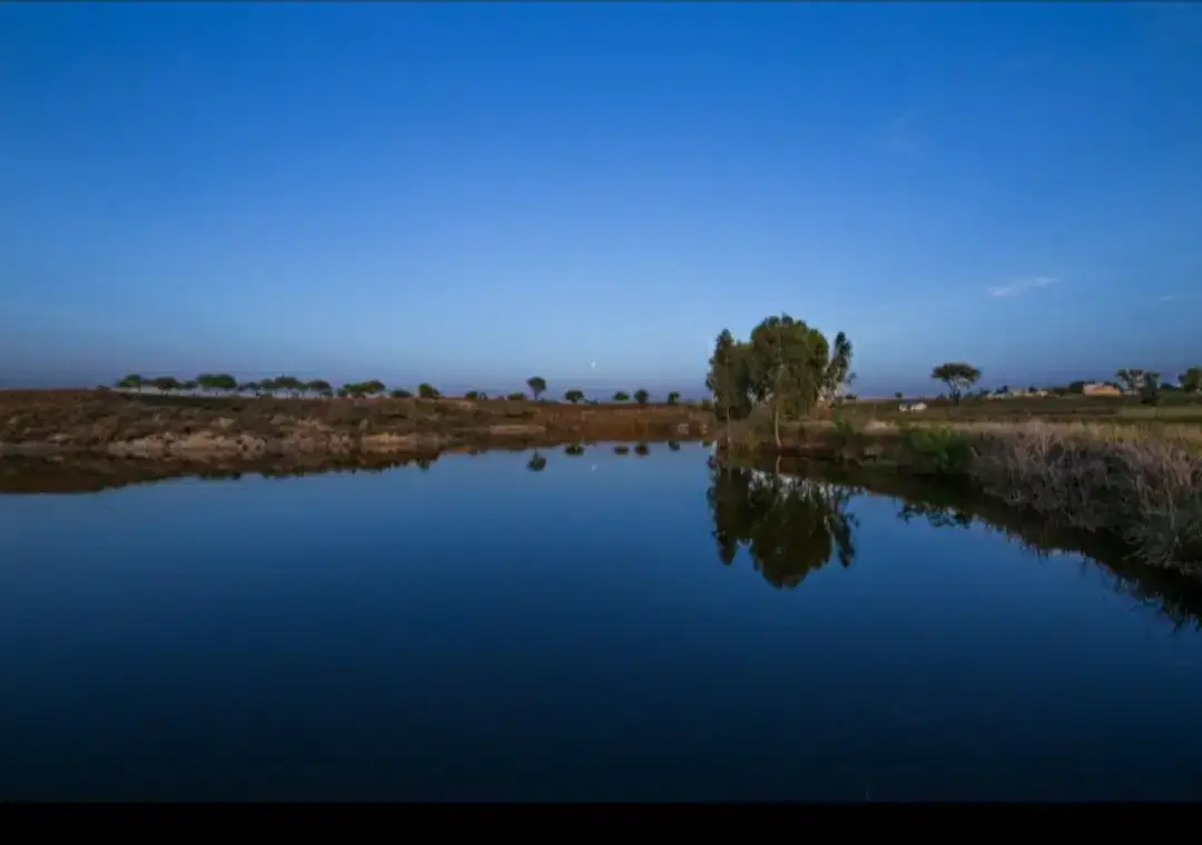 Fish Farm for Rent