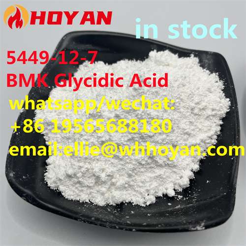 glycidic acid Free Sample CAS5449127 New BMK Powder