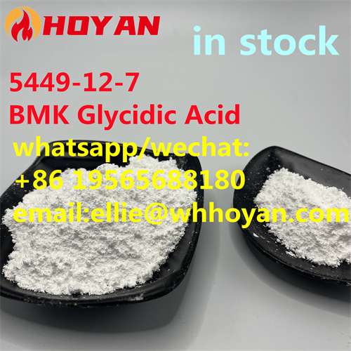 glycidic acid Free Sample CAS5449127 New BMK Powder