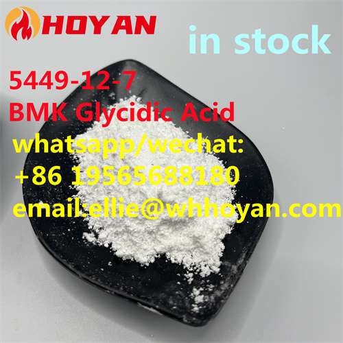 glycidic acid Free Sample CAS5449127 New BMK Powder