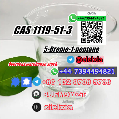 CAS 1119 5Bromo1pentene with high efficiency