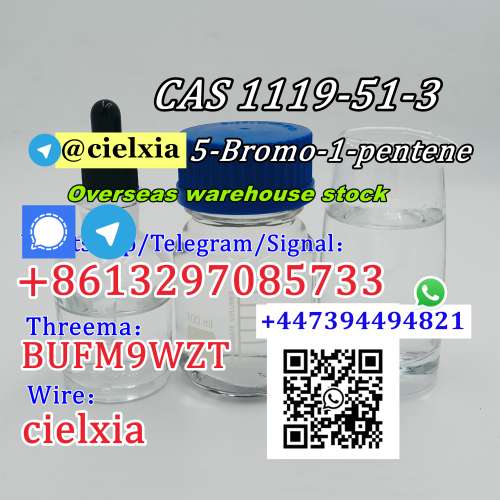 CAS 1119 5Bromo1pentene with high efficiency