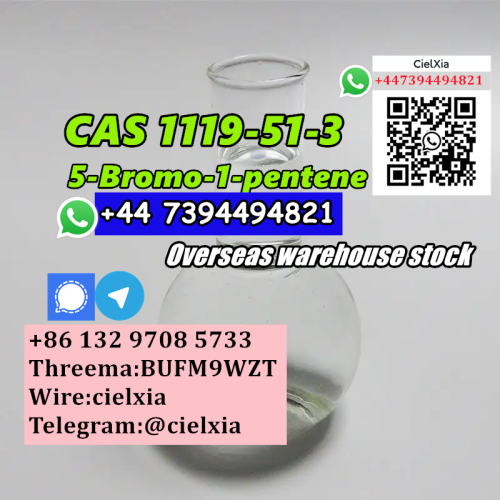 CAS 1119 5Bromo1pentene with high efficiency