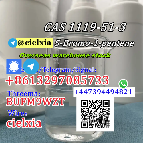 CAS 1119 5Bromo1pentene with high efficiency