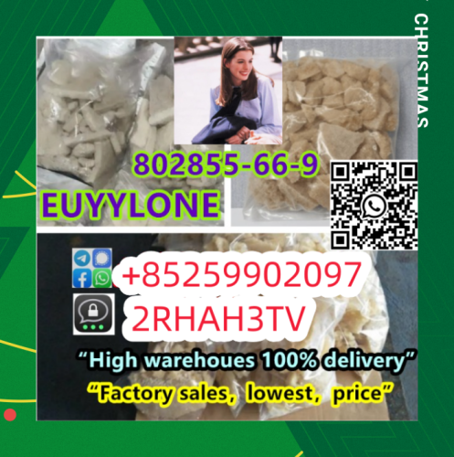 Eutylone For Sell Real In Stock Now Shipping