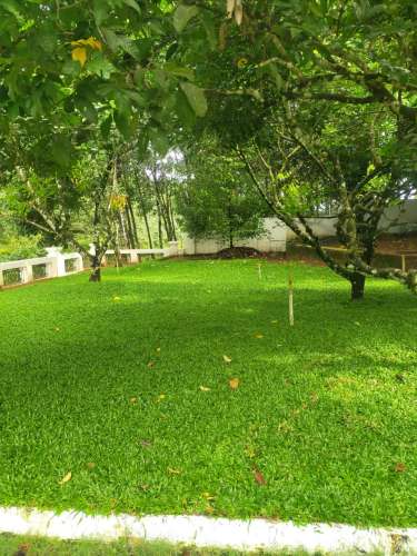 Excellent Garden Workers Idukki Thodupuzha Kattappana Adimali Cheruthoni Marayur