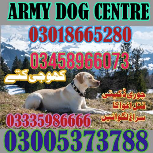 Army Dog Center Chakwal zero3009195twosevennine