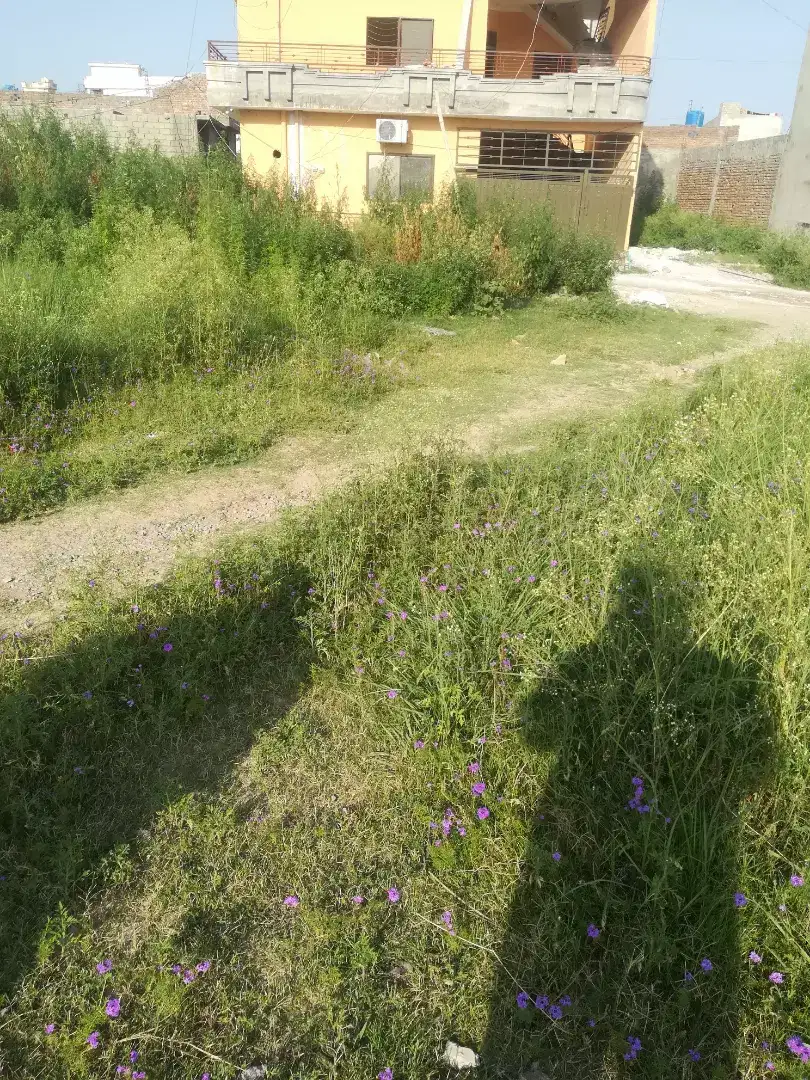 Residencial Plot for sell in just Rs 350000@PER MARLA.