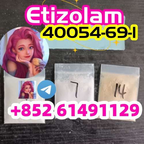 Etizolam  40054691 powderTelegram