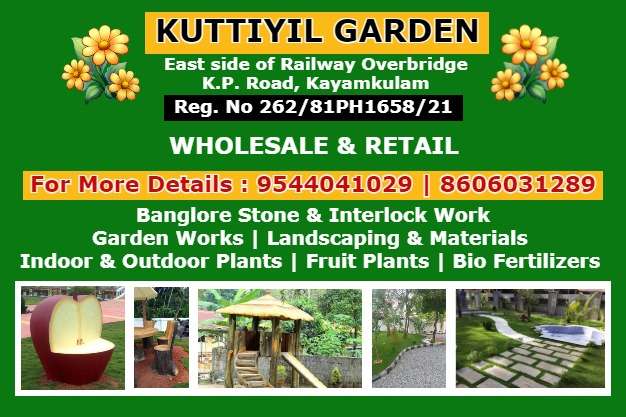 Excellent Garden Landscaping Works Alappuzha Chengannur Cherthala Kayamkulam