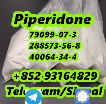 high purity 7909907 new piperidone in stock