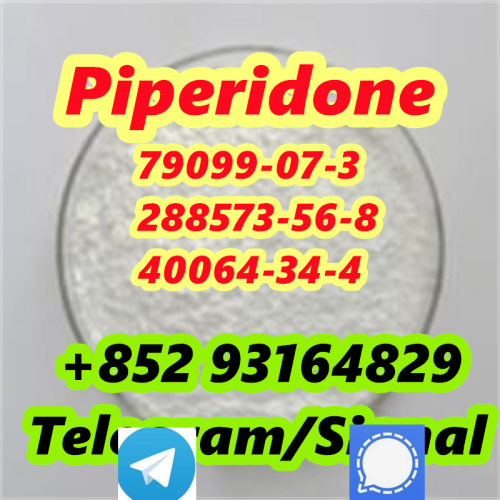 high purity 7909907 new piperidone in stock