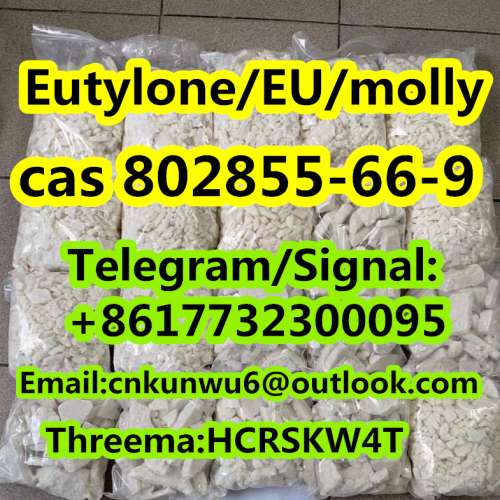 safe and fast delivery EutyloneEUmolly