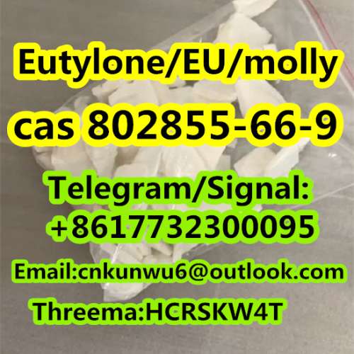 safe and fast delivery EutyloneEUmolly