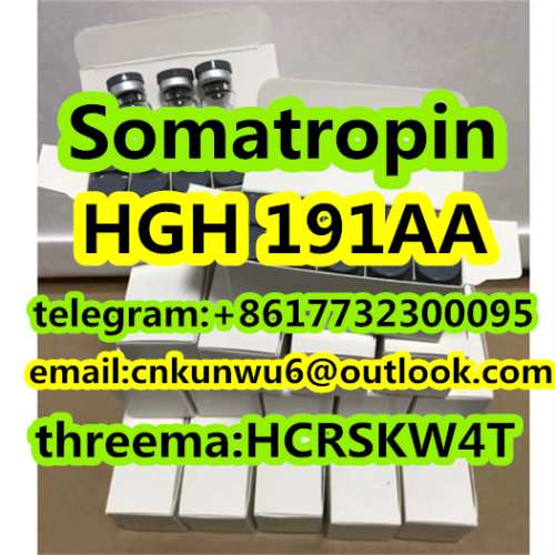 hot selling HGH 191AA Somatropin in stock