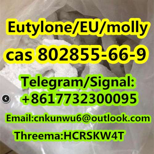 safe and fast delivery EutyloneEUmolly