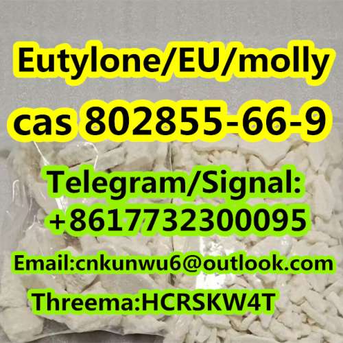 safe and fast delivery EutyloneEUmolly