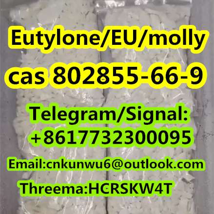 safe and fast delivery EutyloneEUmolly