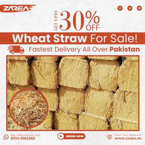 Wheat Straw Sales On Zarea