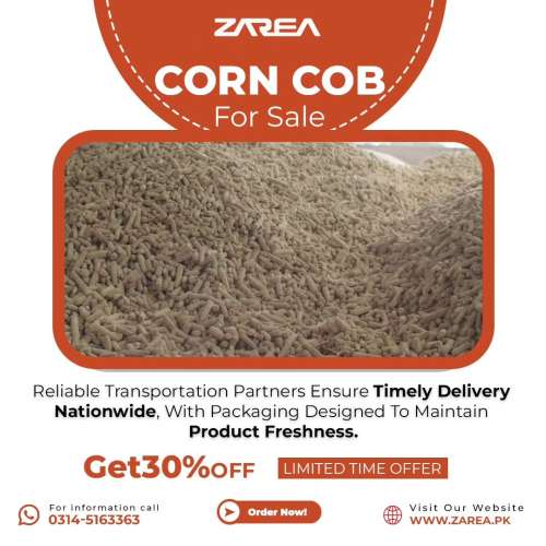 Corn Cob Sales on Zarea