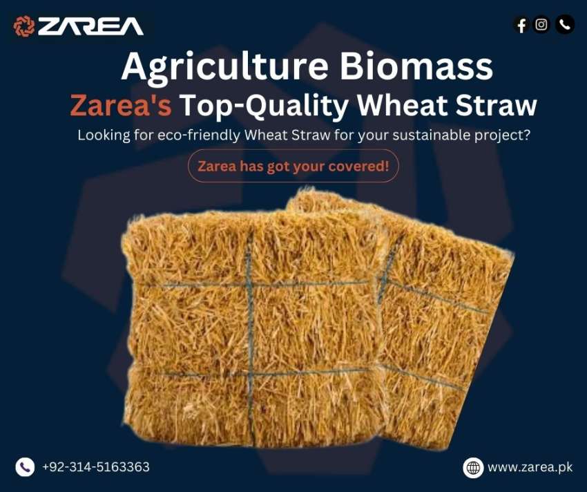 Premium Wheat Straw Options Available on Zarea