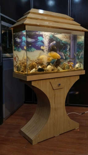 Wooden Aquarium