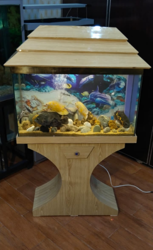 Wooden Aquarium