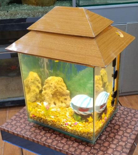 Mini Tetra's Villa