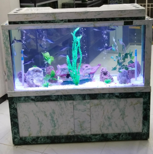 Marbie Aquarium