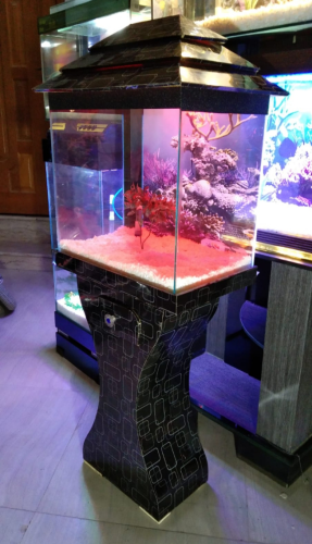 Best Wooden Aquarium