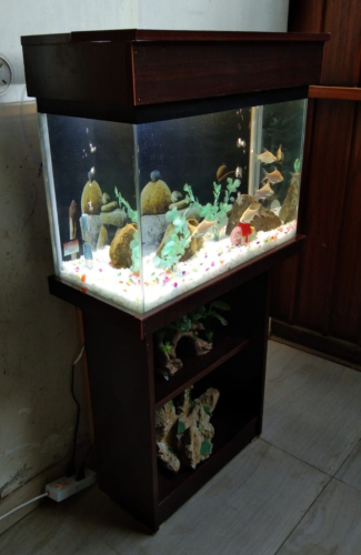 Wooden Fish Aquarium